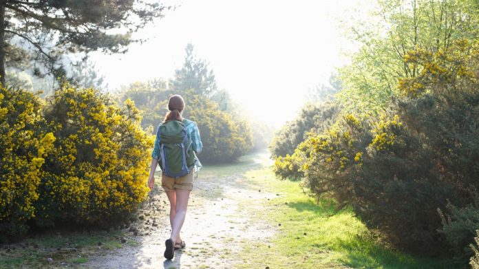 Walk off depression and beat stress by getting outside for a group nature walk