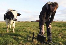 Advent of farming caused weaker human skeletons Advent of farming caused weaker human skeletons