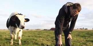 Advent of farming caused weaker human skeletons Advent of farming caused weaker human skeletons