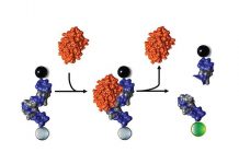First fast, cheap, noninvasive staph detection developed First fast, cheap, noninvasive staph detection developed
