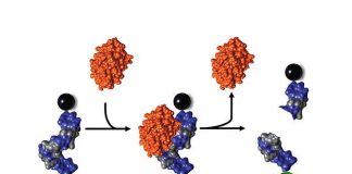 First fast, cheap, noninvasive staph detection developed First fast, cheap, noninvasive staph detection developed