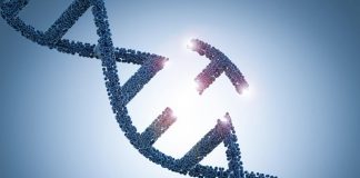 Genetic cause of autism proven to be 250,000 years old Genetic cause of autism proven to be 250,000 years old