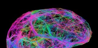 Mind control proven possible by scientists Mind control proven possible by scientists
