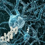 New research may lead to memory restoration in Alzheimer’s disease New research may lead to memory restoration in Alzheimer’s disease
