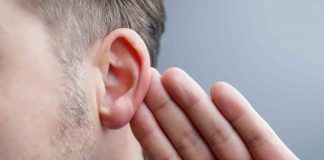 New study may lead to cure for hearing loss New study may lead to cure for hearing loss