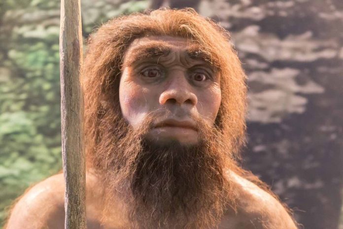 Oldest Neanderthal poop ever found reveals dietary preferences Oldest Neanderthal poop ever found reveals dietary preferences