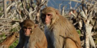 Research finds survivors of weather-related disasters may have accelerated aging Research finds survivors of weather-related disasters may have accelerated aging