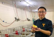 Scientists awarded grant to study animal welfare indicators in poultry production Scientists awarded grant to study animal welfare indicators in poultry production