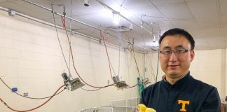 Scientists awarded grant to study animal welfare indicators in poultry production Scientists awarded grant to study animal welfare indicators in poultry production