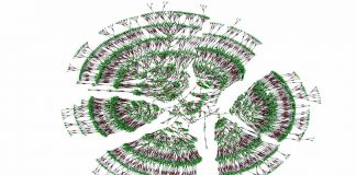 Scientists create largest ever human family tree Scientists create largest ever human family tree