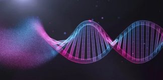 A new gene associated with severe autism A new gene associated with severe autism