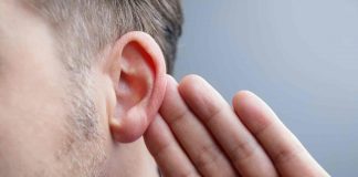 New study may shed light on treating hearing loss New study may shed light on treating hearing loss