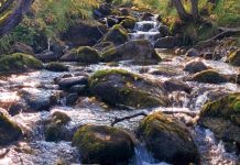 Research aims at calculating terrestrial carbon’s role in river and stream emissions Research aims at calculating terrestrial carbon’s role in river and stream emissions