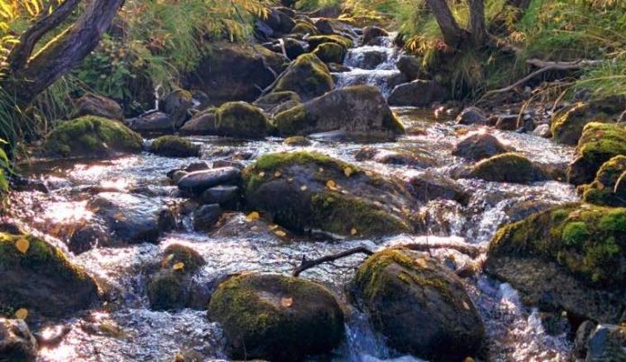 Research aims at calculating terrestrial carbon’s role in river and stream emissions