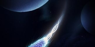 Research of how bacteria swim could help prevent the spread of disease and improve medical treatments Research of how bacteria swim could help prevent the spread of disease and improve medical treatments