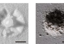 Research solves mystery of how soft liquid droplets erode hard surfaces Research solves mystery of how soft liquid droplets erode hard surfaces