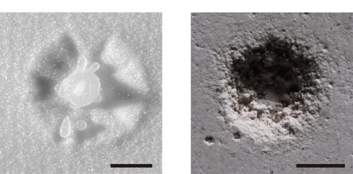 Research solves mystery of how soft liquid droplets erode hard surfaces