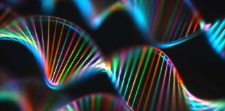 Researchers make leap forward for genetic sequencing Researchers make leap forward for genetic sequencing