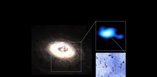 Scientists discover largest molecule yet in a planet-forming disc Scientists discover largest molecule yet in a planet-forming disc