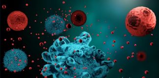 Scientists to present latest cell therapy and precision medicine advances at AACR Scientists to present latest cell therapy and precision medicine advances at AACR