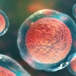 Stem cell study proves most cancer is not inherited or due to the environment Stem cell study proves most cancer is not inherited or due to the environment