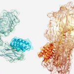 Study: Design of protein binders from target structure alone Study: Design of protein binders from target structure alone