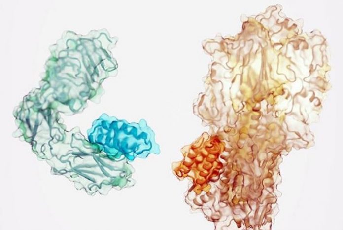 Study: Design of protein binders from target structure alone