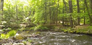 Study Finds watershed size plays major role in filtering pollutants Study Finds watershed size plays major role in filtering pollutants