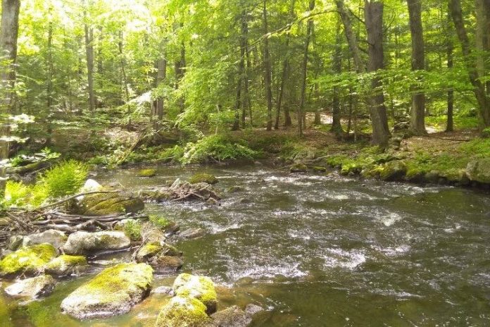 Study Finds watershed size plays major role in filtering pollutants