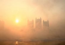 The potency of airborne allergens may be boosted by air pollution The potency of airborne allergens may be boosted by air pollution