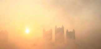 The potency of airborne allergens may be boosted by air pollution The potency of airborne allergens may be boosted by air pollution