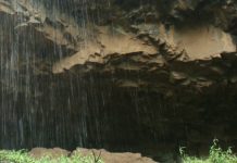 Ancient reverse migration to Africa evidenced by genome sequencing Ancient reverse migration to Africa evidenced by genome sequencing