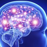 Another recent study confirms that early life stress impacts brain structure Another recent study confirms that early life stress impacts brain structure