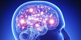 Another recent study confirms that early life stress impacts brain structure Another recent study confirms that early life stress impacts brain structure