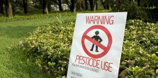 Indoor pesticides pose childhood blood cancer risk Indoor pesticides pose childhood blood cancer risk
