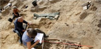 Norman knight with jousting wounds unearthed in Hereford Norman knight with jousting wounds unearthed in Hereford
