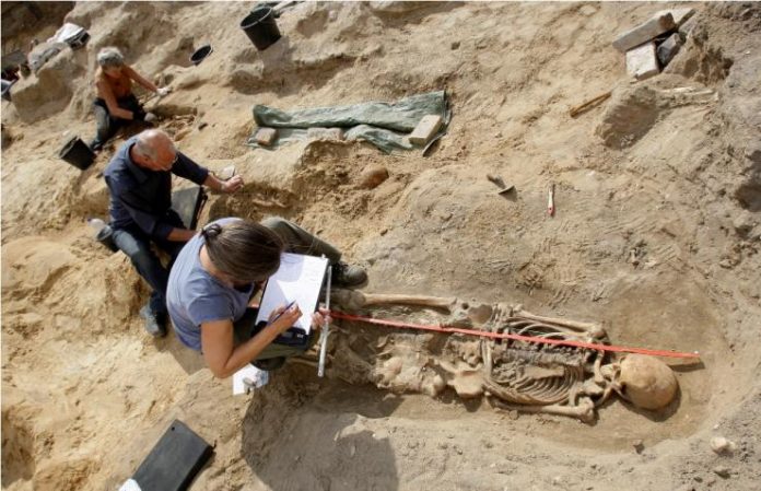 Norman knight with jousting wounds unearthed in Hereford