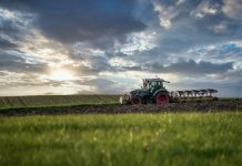 Research shows potential to reduce reliance on non-renewable fertilisers in agriculture Research shows potential to reduce reliance on non-renewable fertilisers in agriculture