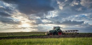 Research shows potential to reduce reliance on non-renewable fertilisers in agriculture Research shows potential to reduce reliance on non-renewable fertilisers in agriculture