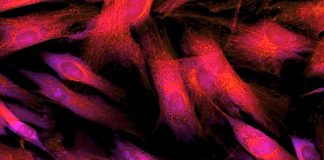Study: Skin cell damage occurs even after you’ve taken cover from UV rays Study: Skin cell damage occurs even after you've taken cover from UV rays