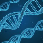 Study proves all humans have a little microorganism DNA Study proves all humans have a little microorganism DNA