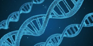 Study proves all humans have a little microorganism DNA Study proves all humans have a little microorganism DNA