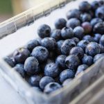 Study shows humans possess surprising nutritional intelligence Study shows humans possess surprising nutritional intelligence