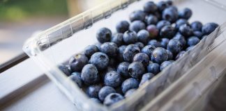 Study shows humans possess surprising nutritional intelligence Study shows humans possess surprising nutritional intelligence