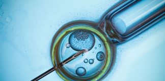 Treating infertility with gene modification on the horizon Treating infertility with gene modification on the horizon