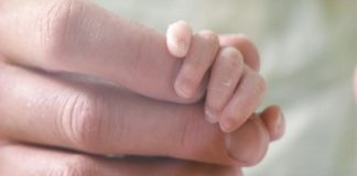 ‘Cord milking’ boosts blood flow to preemies ‘Cord milking’ boosts blood flow to preemies