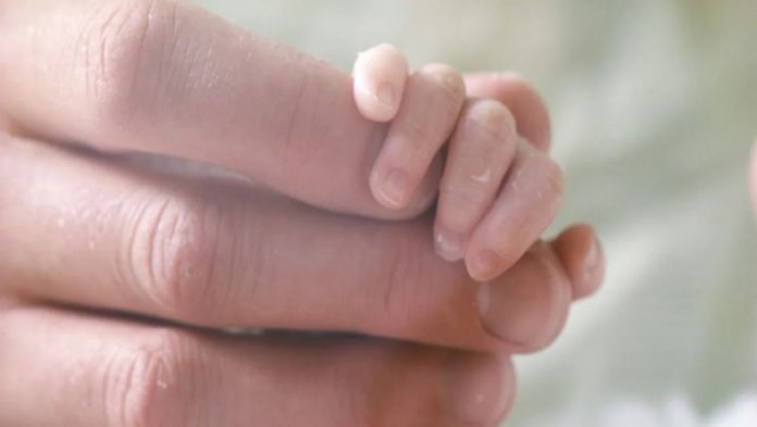 ‘Cord milking’ boosts blood flow to preemies