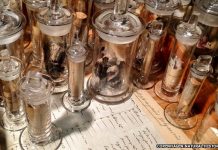 Darwin’s barnacle letter found after 160 years Darwin’s barnacle letter found after 160 years