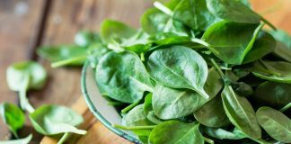 Food and herbs to support brain functions and prevent cancer Food and herbs to support brain functions and prevent cancer
