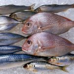 High dietary intake of fish may protect against heart disease High dietary intake of fish may protect against heart disease